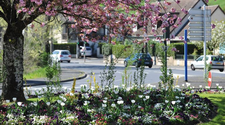Fleurissement. 75 agents s’occupent des espaces verts à la Ville de Brive.
